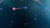 DNA_FINAL_00028