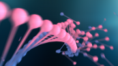 DNA_FINAL_00092